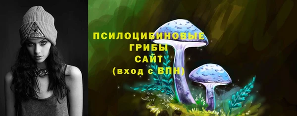 ALPHA-PVP Ельня